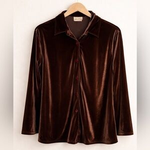Vintage Velvet Button-Up Blouse Brown  Xl